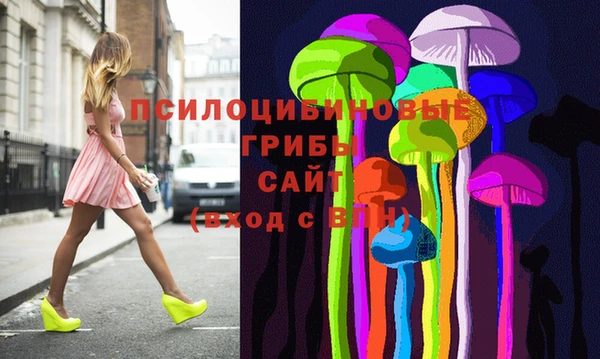 ешки Михайлов