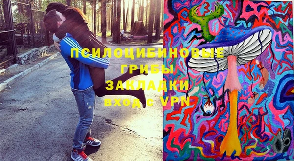 ешки Михайлов